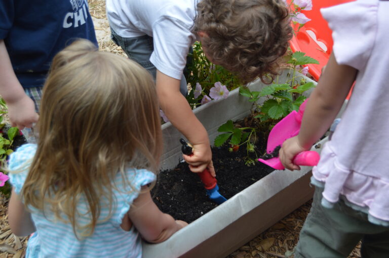 picture of preschoolers digging in the garden